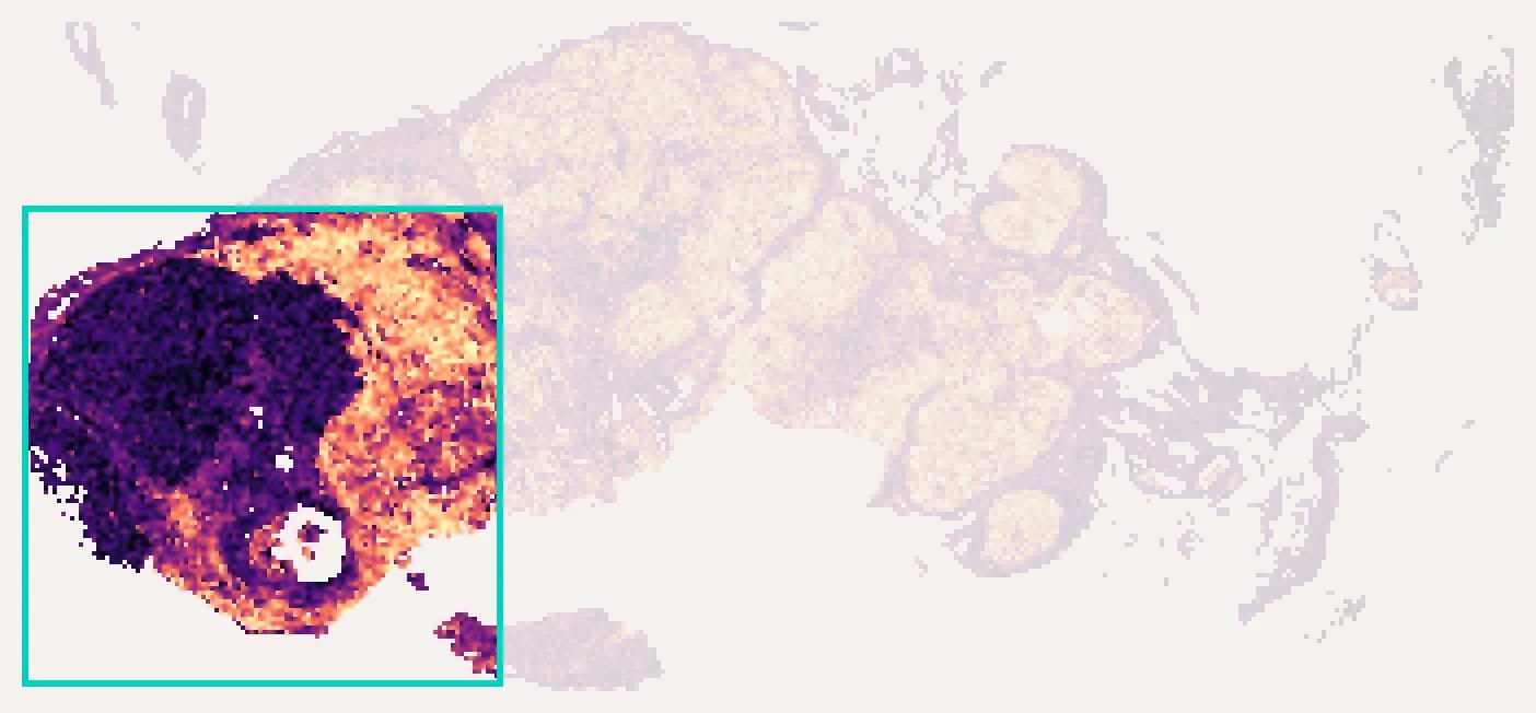 The predicted section with everything outside one outlined square faded almost to the background, showing how little of the section a single capture area reaches.